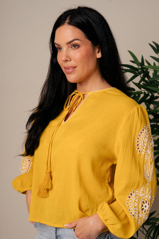Blusa Scotch Amarillo- Paquete de 3 (23€/Cada Unidad)